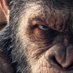 Trading Apes (@tradingapes01) Twitter profile photo Trading Apes (@tradingapes01) Twitter profile photo
