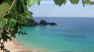 cfbertoldo's profile picture. 