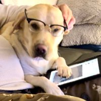 Silly Girl (@traceykells) 's Twitter Profile