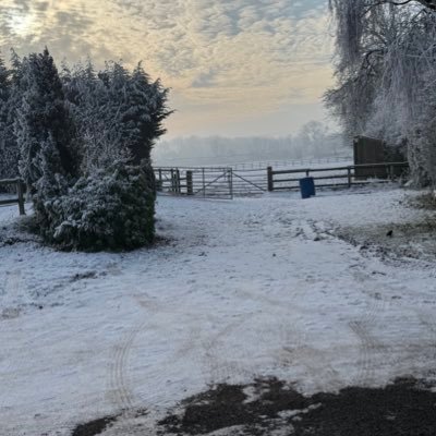 MichelleCunnee3's profile picture. Advanced Musculoskeletal Practitioner