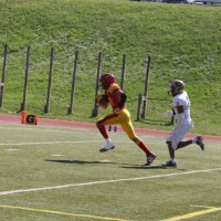 Blair Faulk (@bf12qhs) 's Twitter Profile