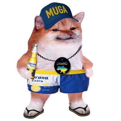 Member of #NAFO Old Curmudgeons 1st Slow Response Brigade Konstantynovska.@NafoOld
No DMs.
Living in sunny Florida, home of the Felon.
