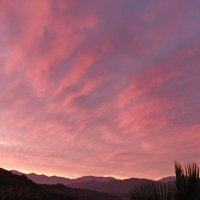 Paola (@paolahernandezc) 's Twitter Profile Photo