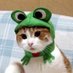 🍁 (@toastedcherries) Twitter profile photo 🍁 (@toastedcherries) Twitter profile photo