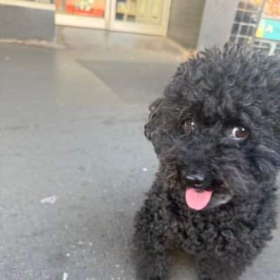 gigabaseddog's profile picture. 