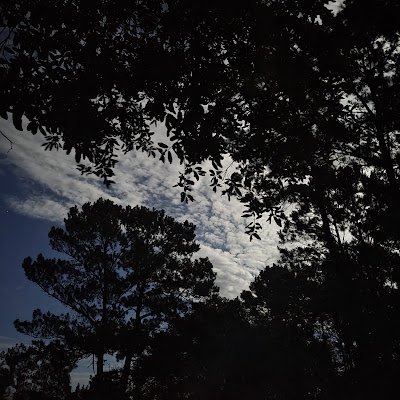 spinningtop_7's profile picture. 