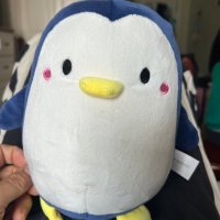 Mr.Lunc🫡 (@lunc_burn007) 's Twitter Profile