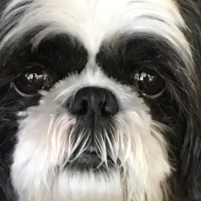 GarciaSeandg's profile picture. Retired teacher, ex-Angeleno, happy in the OC