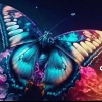 xi (@ladylanxi) 's Twitter Profile