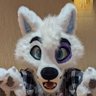 DushkaTheWolf's profile picture. wolf that games and likes music, 22M, he/him, kitchenware enthusiast, cheese curd lover, makes YouTube videos sometimes.
@dushkathewolf.bsky.social