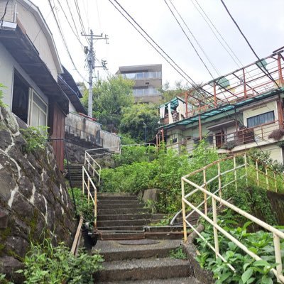 Horikawa_hos's profile picture. HOS23期 ハルツキノヒカリ テレビショウ