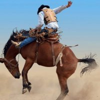 Vic Revere (@victorrevere) 's Twitter Profile