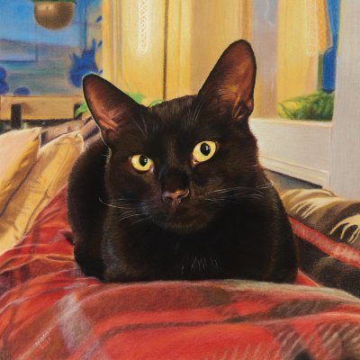 paralleltext's profile picture. working and looking