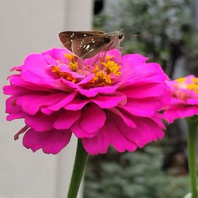 kamacco101038's profile picture. 変な日常つぶやきます
知り合いしか通しません
テンションのレベルカンストさせてもらってます