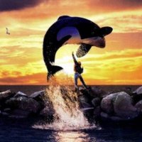 FreeWilly🐋 (@freewillyalpha) 's Twitter Profile Photo FreeWilly🐋 (@freewillyalpha) 's Twitter Profile Photo