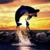 FreeWilly🐋 (@freewillyalpha) Twitter profile photo FreeWilly🐋 (@freewillyalpha) Twitter profile photo