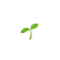 茶介🔰 (@ocha_mogu) Twitter profile photo