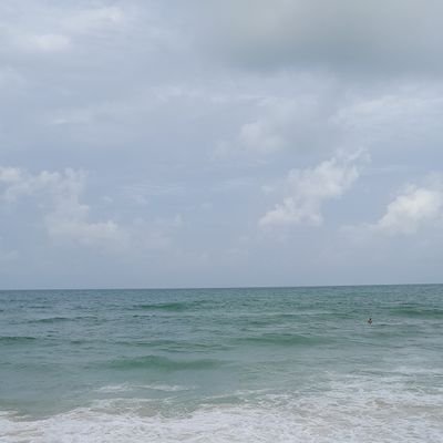 MichelleAl93325's profile picture. 