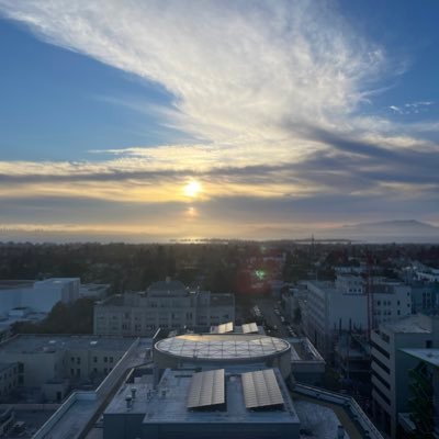 ing_lest's profile picture. Toyama→U Tokyo→→ Quantum computing × blockchains - Silicon Valley - Tokyo - → AIpreneur #Neuroscience #Psychology #Anthropology #Stoicism #Physique