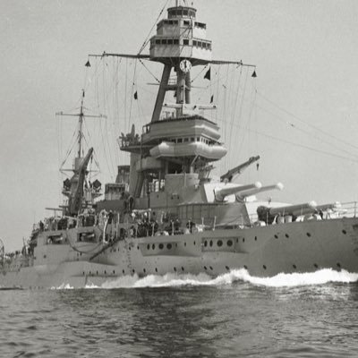 CameronMucha's profile picture. founder