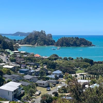 dogsknobs's profile picture. 