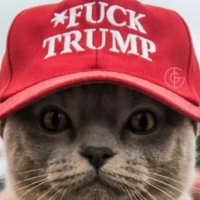 JenBeachLover (@jengervase) 's Twitter Profile
