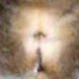 Zordabo (@zordabo) Twitter profile photo Zordabo (@zordabo) Twitter profile photo