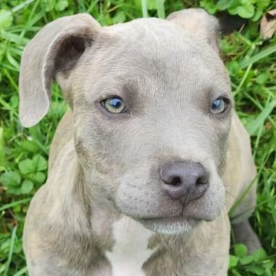 Tat2nTheSky's profile picture. 