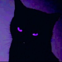 ☆lunita☆ (@rck_tw) 's Twitter Profile