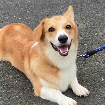 soccer_mma1010's profile picture. 