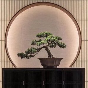 nickpapantoniou's profile picture. Bachelor of Science in Digital Media