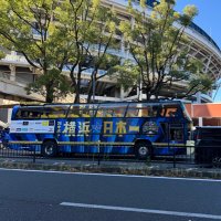 ใใใ (@yokohama_zaka46) 's Twitter Profile Photo ใใใ (@yokohama_zaka46) 's Twitter Profile Photo
