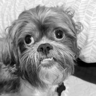 vicsterrx's profile picture. 