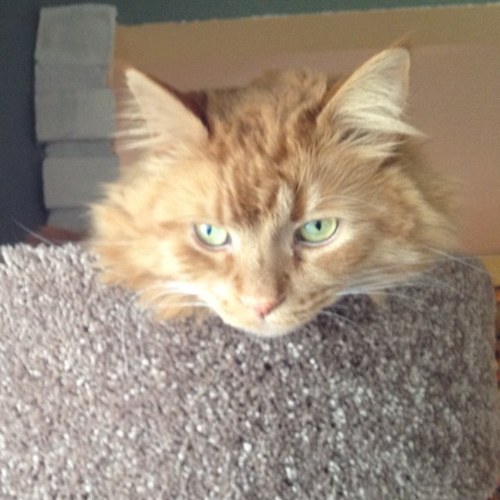 neelyjoh's profile picture. 