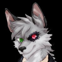 Roman Kolachnikさんのプロフィール画像