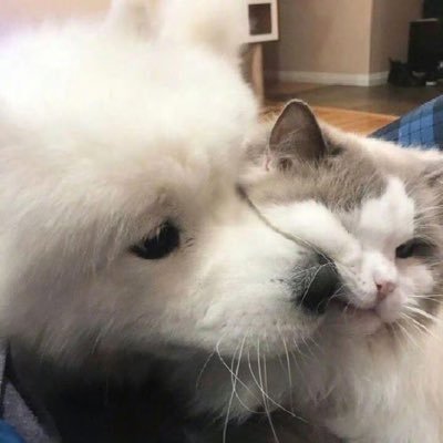 ㅁㅁさんのプロフィール画像