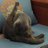 Rio3383849's profile image