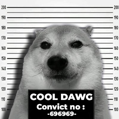 Coooldawgg's profile picture. Ur Tía's fav editor ;) 

DM me ✉️  if you need a Video Editor
then hit me up on Discord:  boisyy