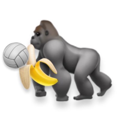 🦍@volleyball1301 #1西田有志🏐 @OSAKA__BLUTEON#11#バレーファンと繋がりたいので是非フォローよろしくお願いします🙇‍♀️