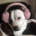 Michelle Scanlan (@scanla1) Twitter profile photo