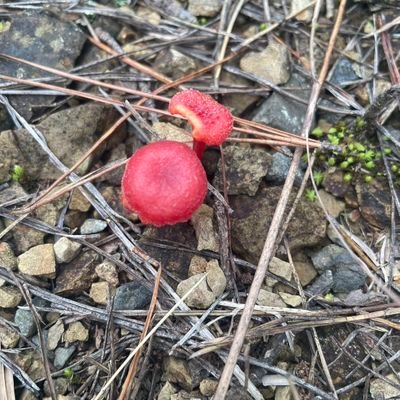 ai292929's profile picture. 