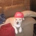 Tyler G (@tylerg392805) Twitter profile photo Tyler G (@tylerg392805) Twitter profile photo