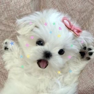 Neinei_Jo's profile picture. 🌸関西KPOPペン| For Kep1er 沈小婷.Xiaoting.シャオティン💜For ZEROBASEONE 章昊.Zhang Hao.ジャンハオ❤️For TomorrowXTogether 범규.Beomgyu.ボムギュ🩷