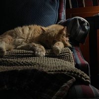 بَ (@x5b33) 's Twitter Profile Photo