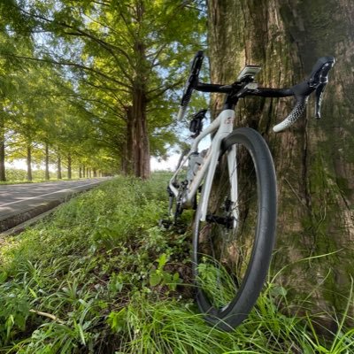 tori_kame55's profile picture. KU med 2