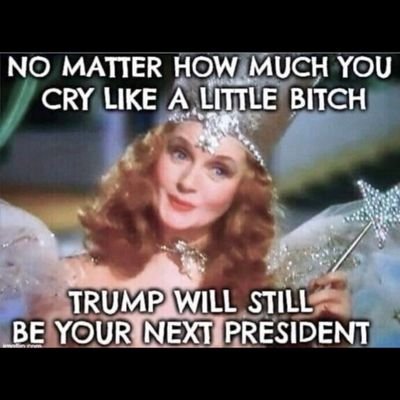 autodidactic00's profile picture. Center right. 
Not a lefty sicko.
Let's get life back on track, remove bullshit lefty influence.