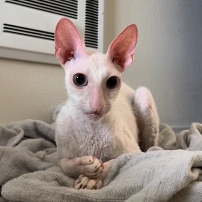 mathisszzzz's profile picture. 