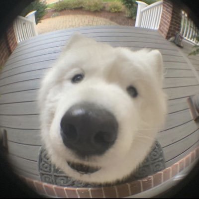 OLO1356406's profile picture. 