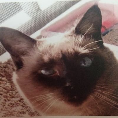 maro202407 Profile Picture