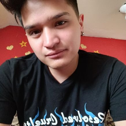 GHOSTMAGM's profile picture. Hola mi nombre es Miguel Angel 
28 años
ING.Mecatronico 😎
Disfruto de la música, videojuegos y libros